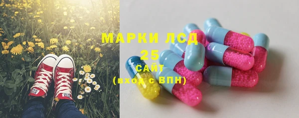 эйфоретик Белокуриха