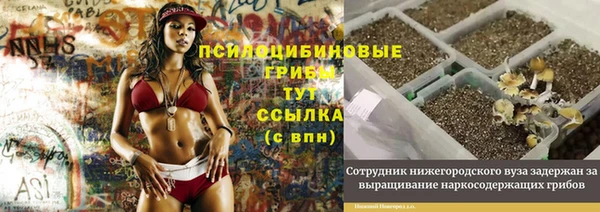 первитин Белоозёрский