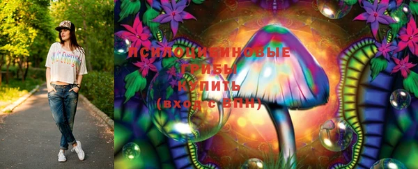 эйфоретик Белокуриха