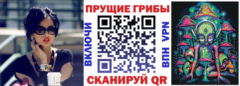 Псилоцибиновые грибы GOLDEN TEACHER  Ахтырский 